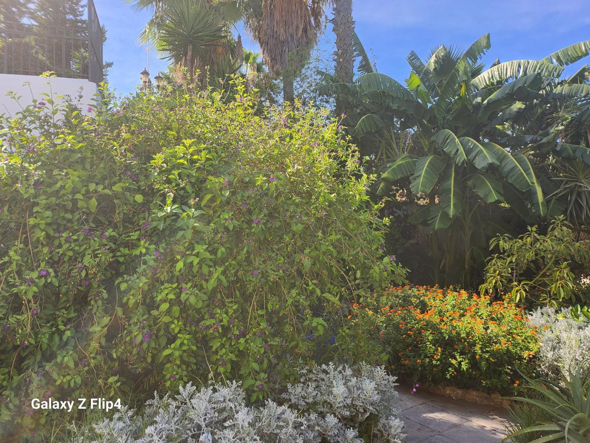 Deluxe Studio Athos 50 Mp Garden Patio Benalmadena Golf & Beach מראה חיצוני תמונה